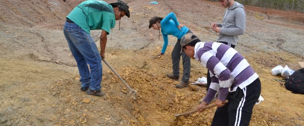 Escavação paleontológica