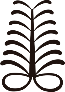 Para o alto com Sankofa! | CHC