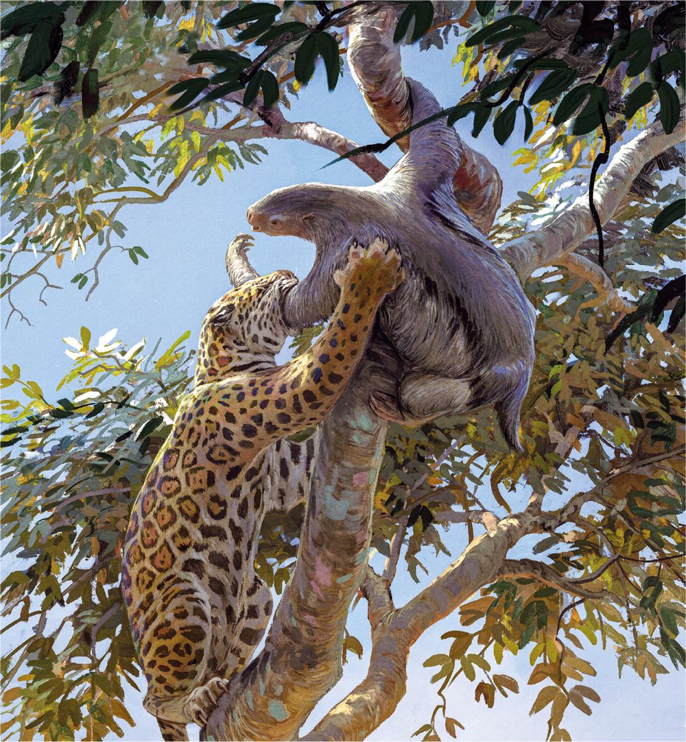 Fóssil do osso do braço da Ahytherium aureum, um úmero, mostrando marcas de mordida de onça-pintada (Panthera onca).