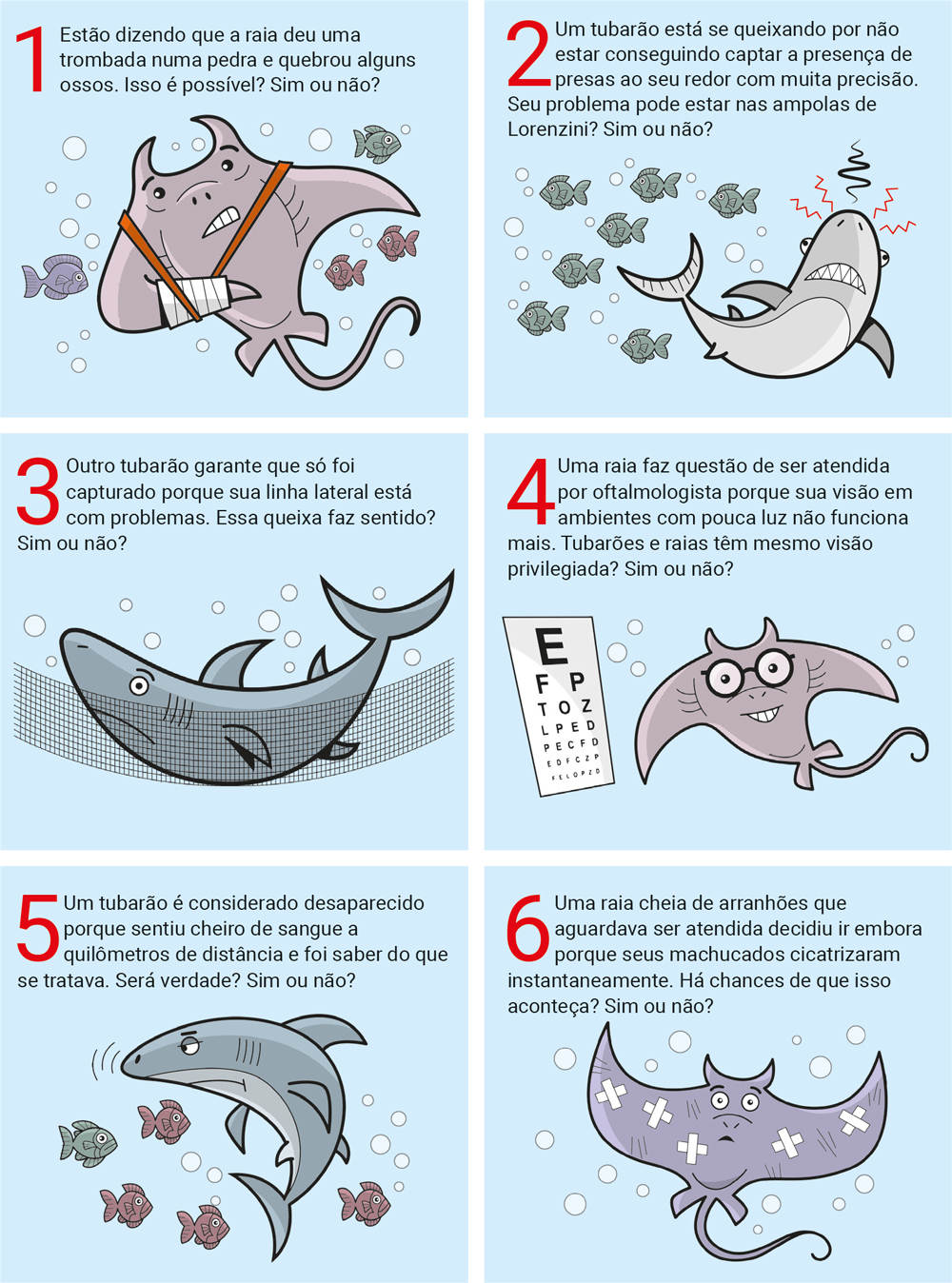 6 perguntas do quiz