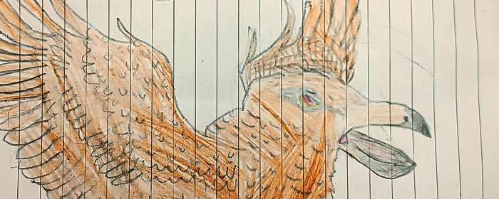 700_280 att-50501