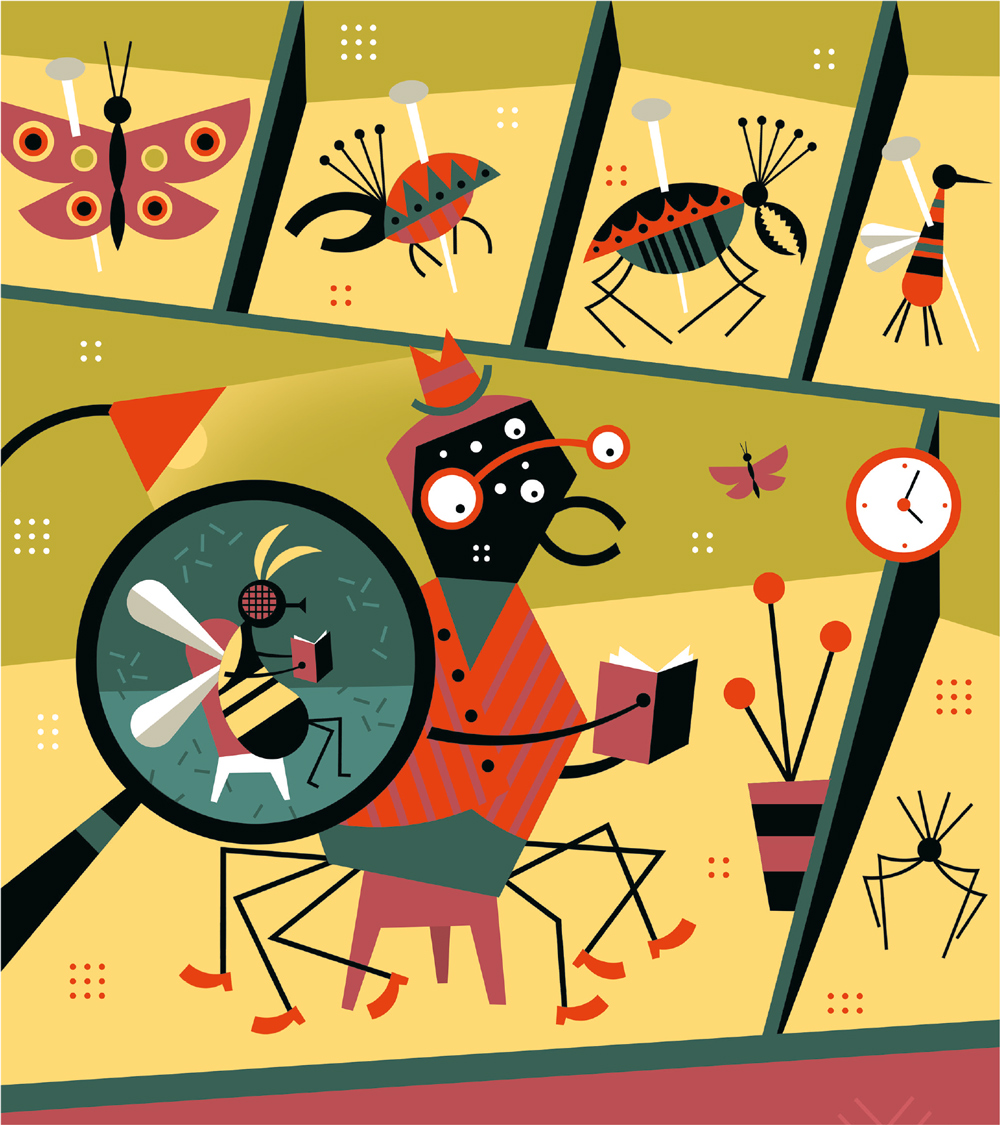 O mistério da mosca na gaveta